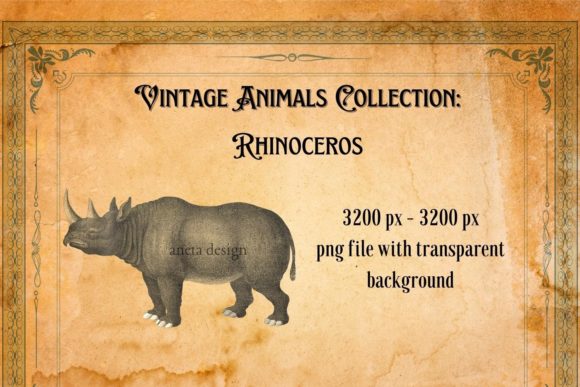 Charm & Character: Using Vintage Rhinoceros Illustration in Design