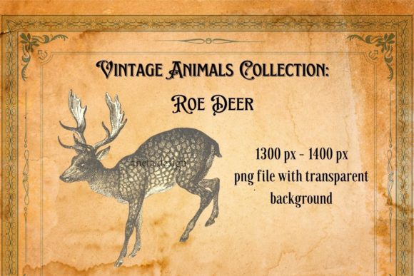 Charming Vintage Roe Deer Illustration for Modern Design