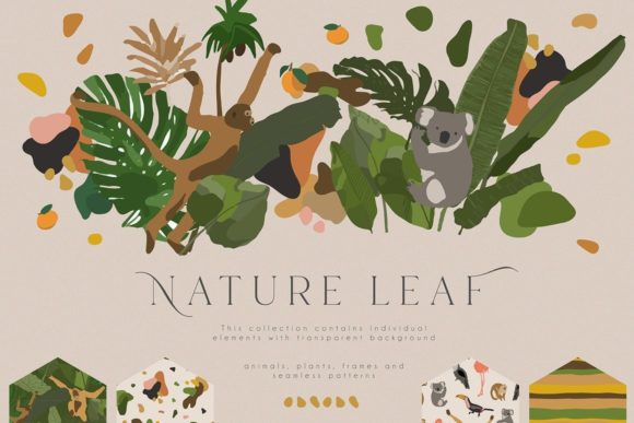 Nature Leaf Collection: Elevate Your Design Projects