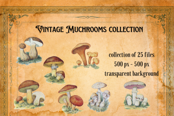 Timeless Vintage Mushrooms for Junk Journal Projects