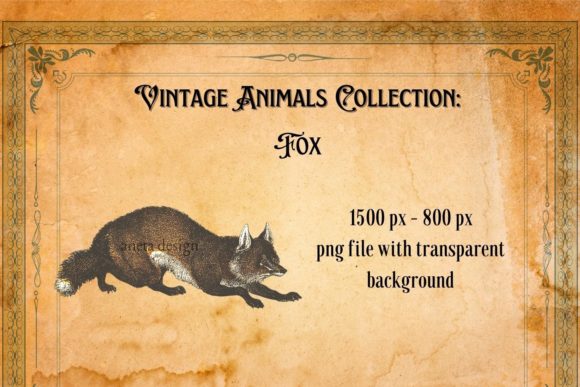 Vintage Fox Illustration: A Timeless Asset for Modern Design