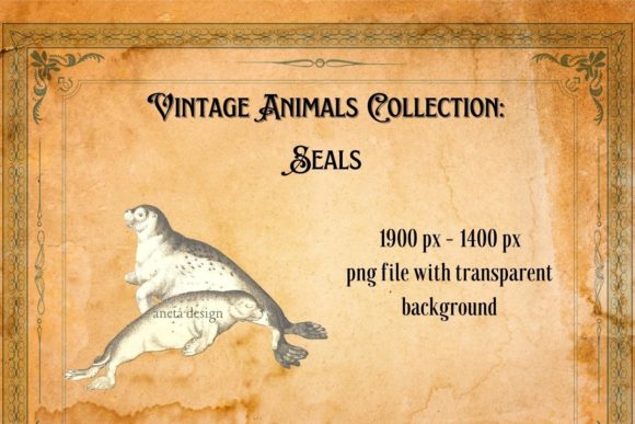 Vintage Seals Illustration: Timeless Assets for Modern Design